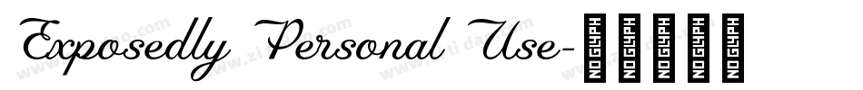 Exposedly Personal Use字体转换